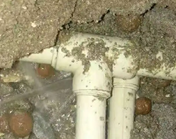 滨城测漏水多少钱