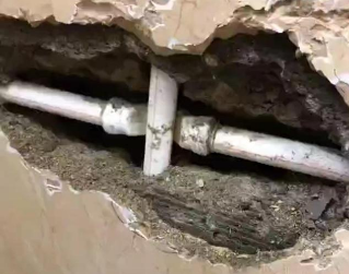 滨城测漏水哪家好