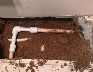 滨城测漏水哪家好