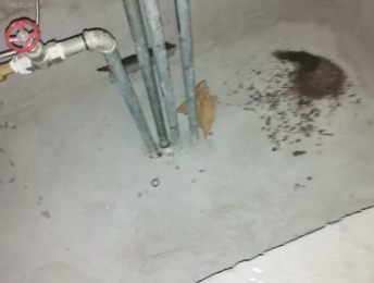 滨城卫生间测漏水价格明细