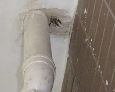 滨城漏水检测哪家好